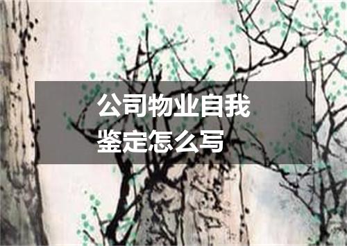 公司物业自我鉴定怎么写
