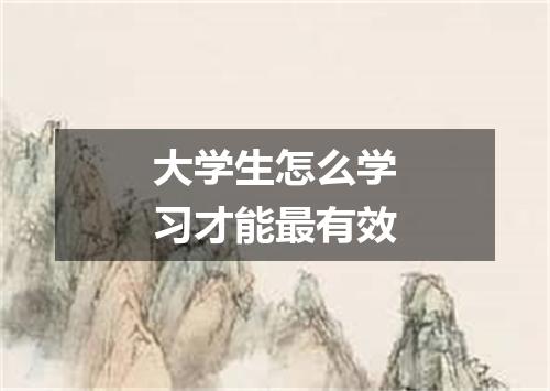 大学生怎么学习才能最有效