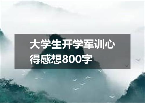 大学生开学军训心得感想800字