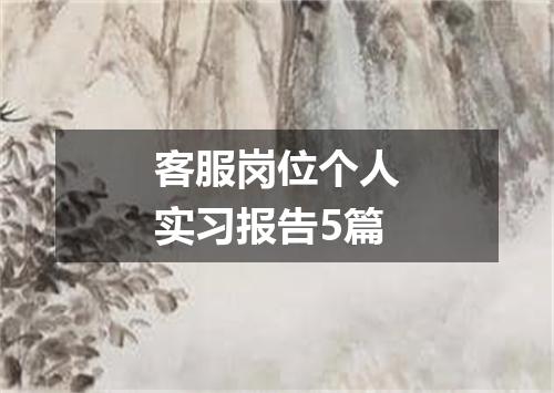 客服岗位个人实习报告5篇