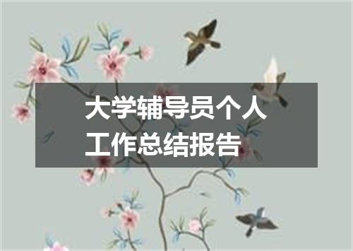 大学辅导员个人工作总结报告
