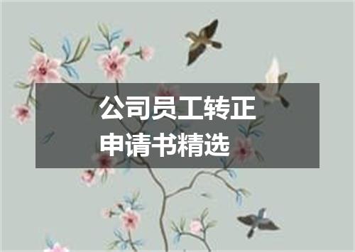 公司员工转正申请书精选
