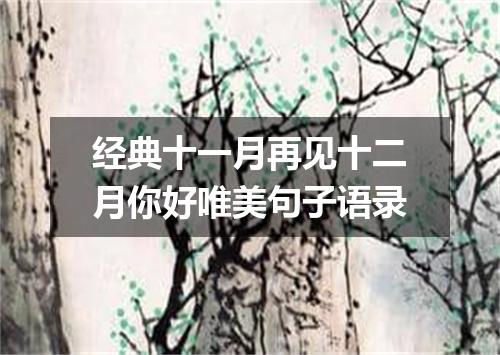 经典十一月再见十二月你好唯美句子语录