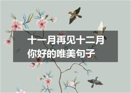 十一月再见十二月你好的唯美句子