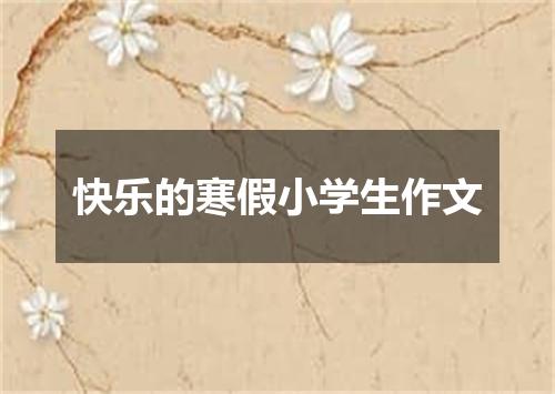 快乐的寒假小学生作文