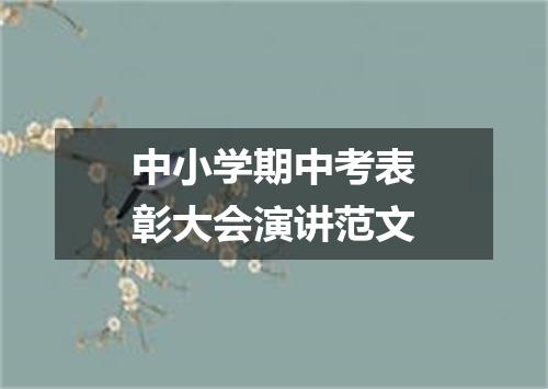 中小学期中考表彰大会演讲范文