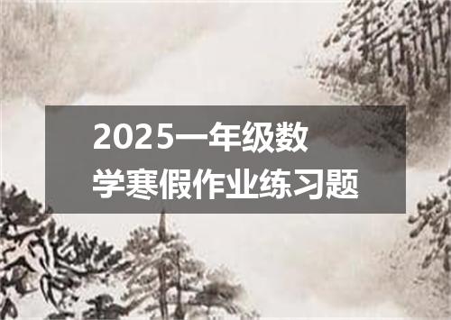 2025一年级数学寒假作业练习题