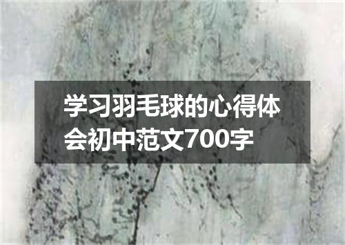 学习羽毛球的心得体会初中范文700字