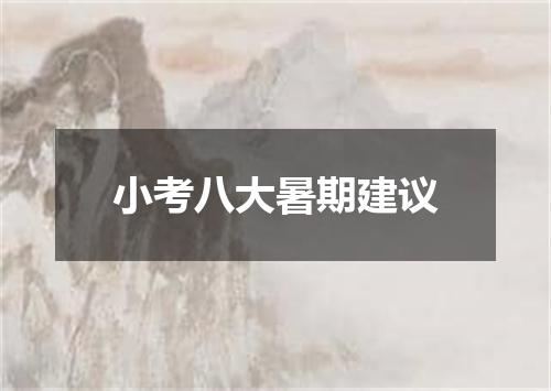 小考八大暑期建议