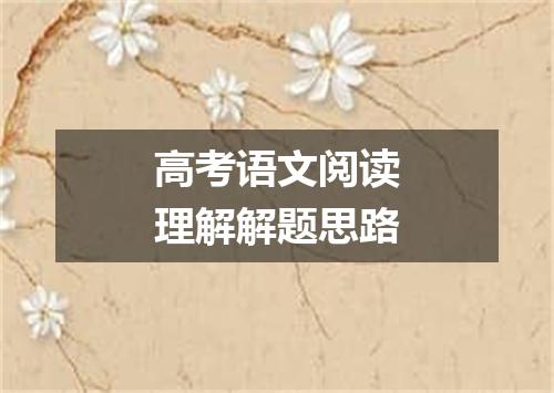 高考语文阅读理解解题思路