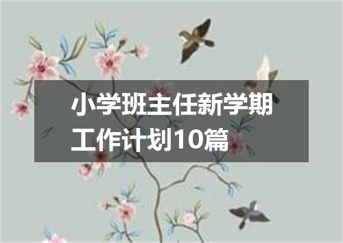 小学班主任新学期工作计划10篇