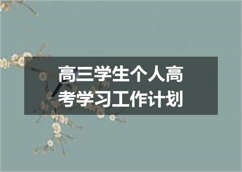 高三学生个人高考学习工作计划