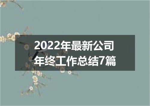 2022年最新公司年终工作总结7篇