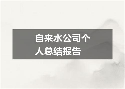 自来水公司个人总结报告