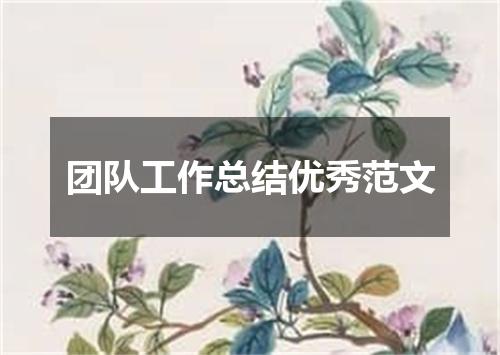 团队工作总结优秀范文