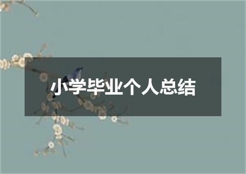 小学毕业个人总结