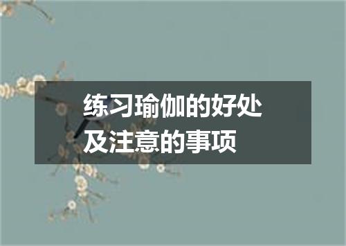 练习瑜伽的好处及注意的事项