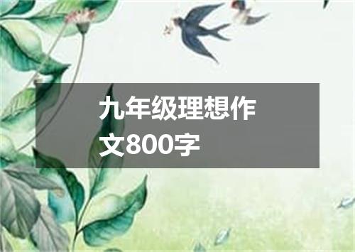 九年级理想作文800字