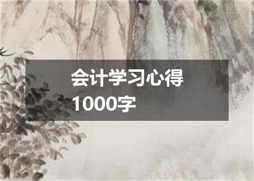 会计学习心得1000字