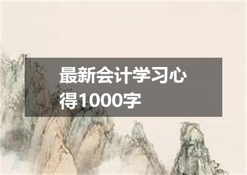 最新会计学习心得1000字