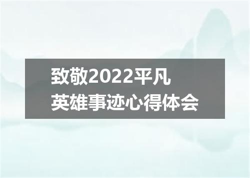 致敬2022平凡英雄事迹心得体会