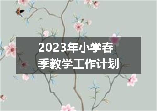 2023年小学春季教学工作计划