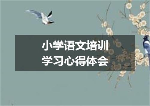 小学语文培训学习心得体会