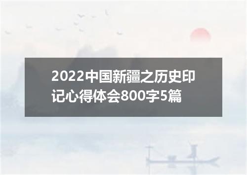 2022中国新疆之历史印记心得体会800字5篇
