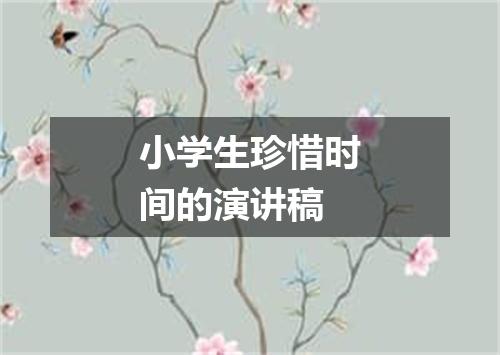小学生珍惜时间的演讲稿