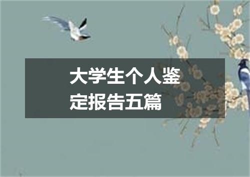 大学生个人鉴定报告五篇