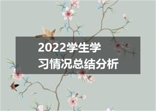 2022学生学习情况总结分析
