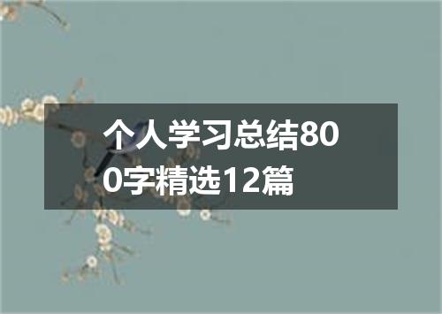 个人学习总结800字精选12篇