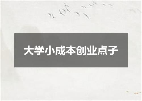 大学小成本创业点子