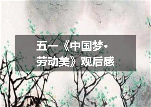 五一《中国梦·劳动美》观后感