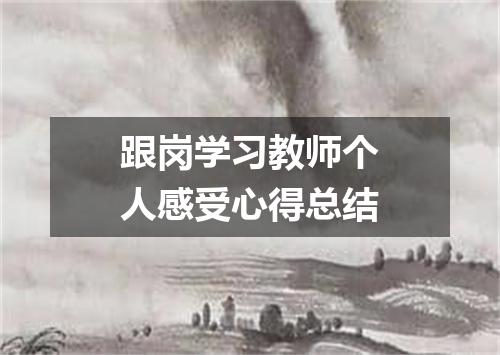 跟岗学习教师个人感受心得总结