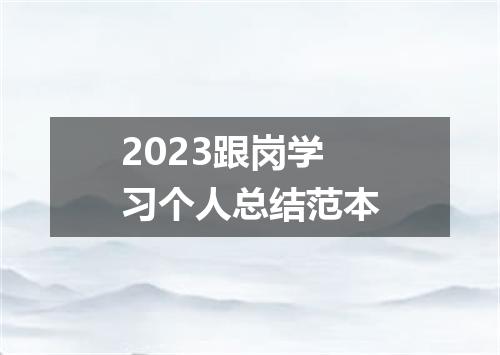 2023跟岗学习个人总结范本