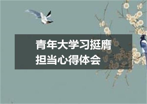 青年大学习挺膺担当心得体会