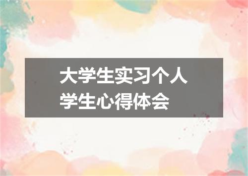 大学生实习个人学生心得体会
