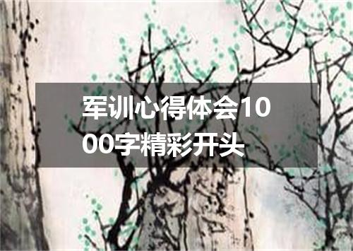 军训心得体会1000字精彩开头