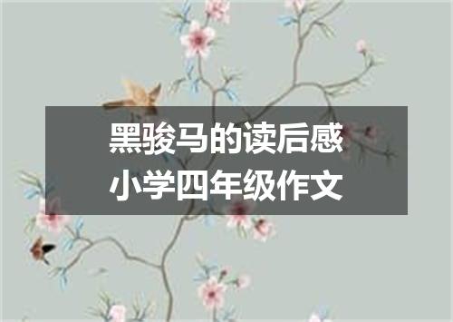 黑骏马的读后感小学四年级作文