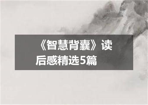 《智慧背囊》读后感精选5篇