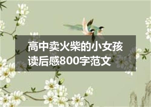 高中卖火柴的小女孩读后感800字范文