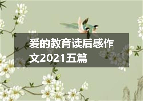 爱的教育读后感作文2021五篇