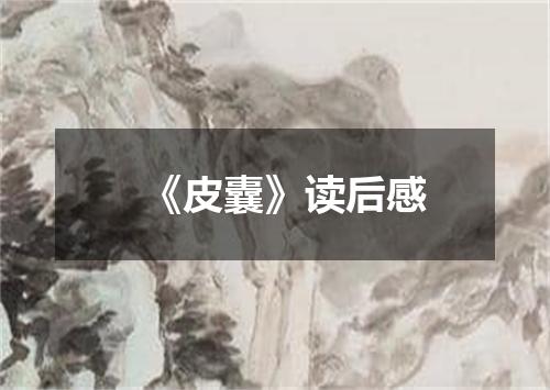 《皮囊》读后感