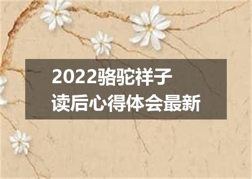 2022骆驼祥子读后心得体会最新
