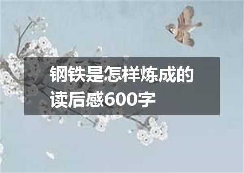 钢铁是怎样炼成的读后感600字