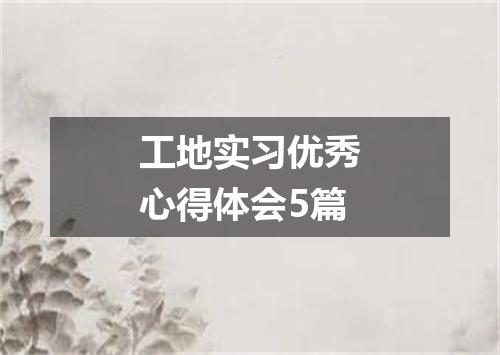 工地实习优秀心得体会5篇