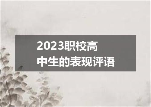 2023职校高中生的表现评语