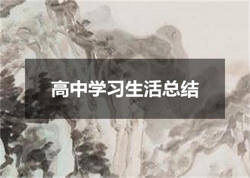 高中学习生活总结