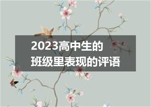 2023高中生的班级里表现的评语